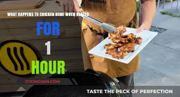 Heating Chicken Bones: What Happens?