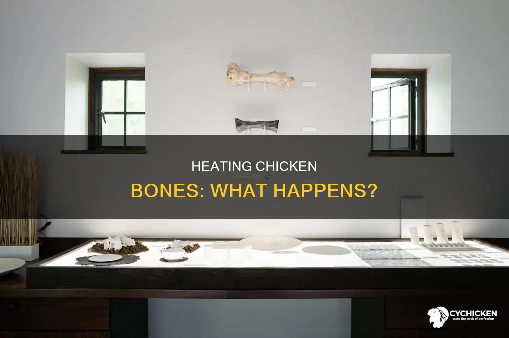 what happens to chicken bone when heated for 1 hour