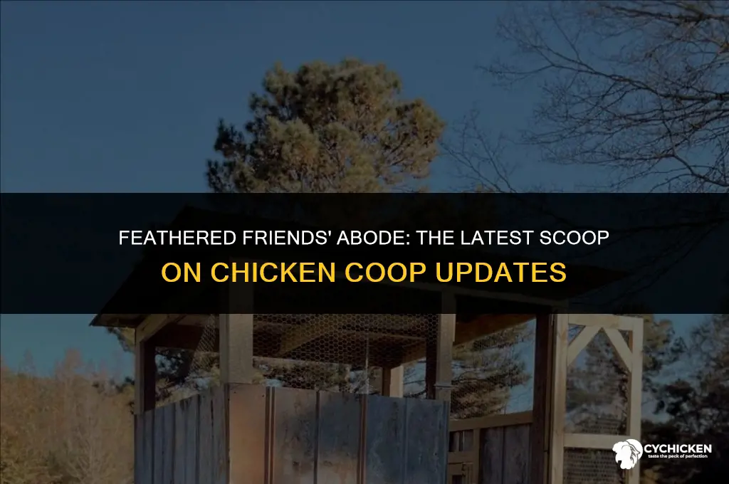 what happens to chicken coop update
