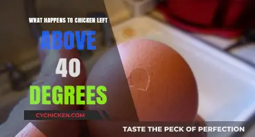 Chicken Above 40°F: Risks, Spoilage, and Food Safety Concerns