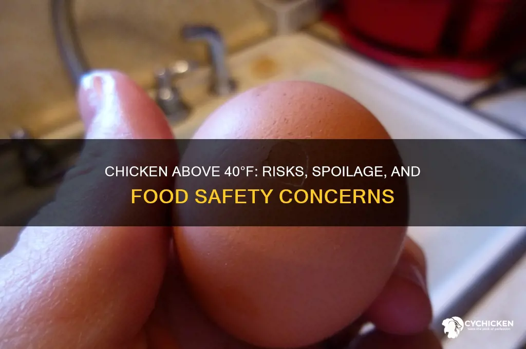 what happens to chicken left above 40 degrees