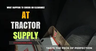 Tractor Supply's Chick Clearance: What's the Deal?