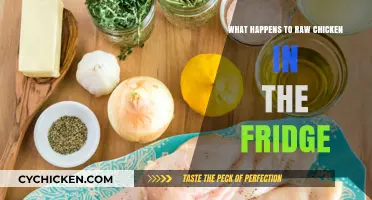 Raw Chicken in the Fridge: Storage, Safety, and Shelf Life Explained