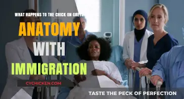 How Immigration Laws Impacted Grey's Anatomy Character's Future