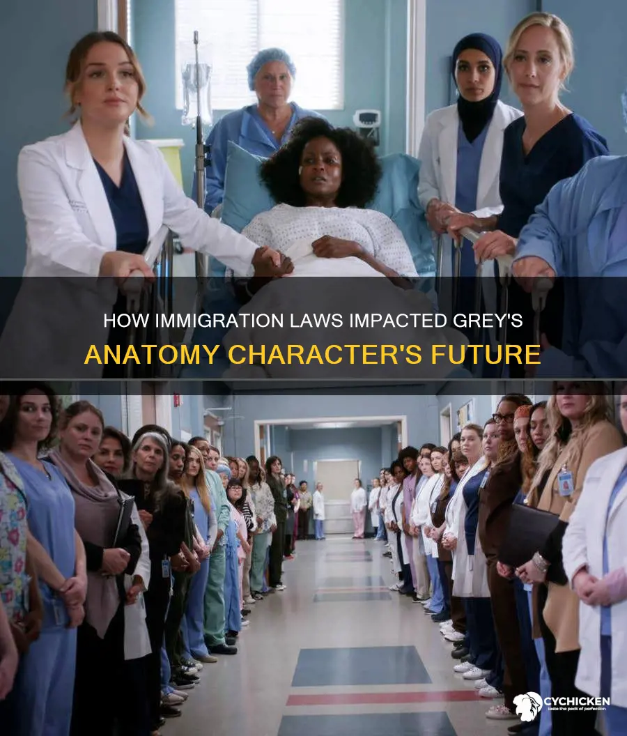 what happens to the chick on greys anatomy with immigration
