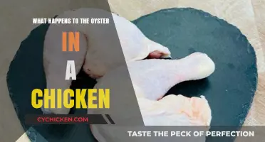 Oyster in a Chicken: Unveiling the Hidden Organ's Fate