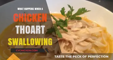 Chicken Throat Blockage: Causes, Symptoms, and Emergency Care Explained