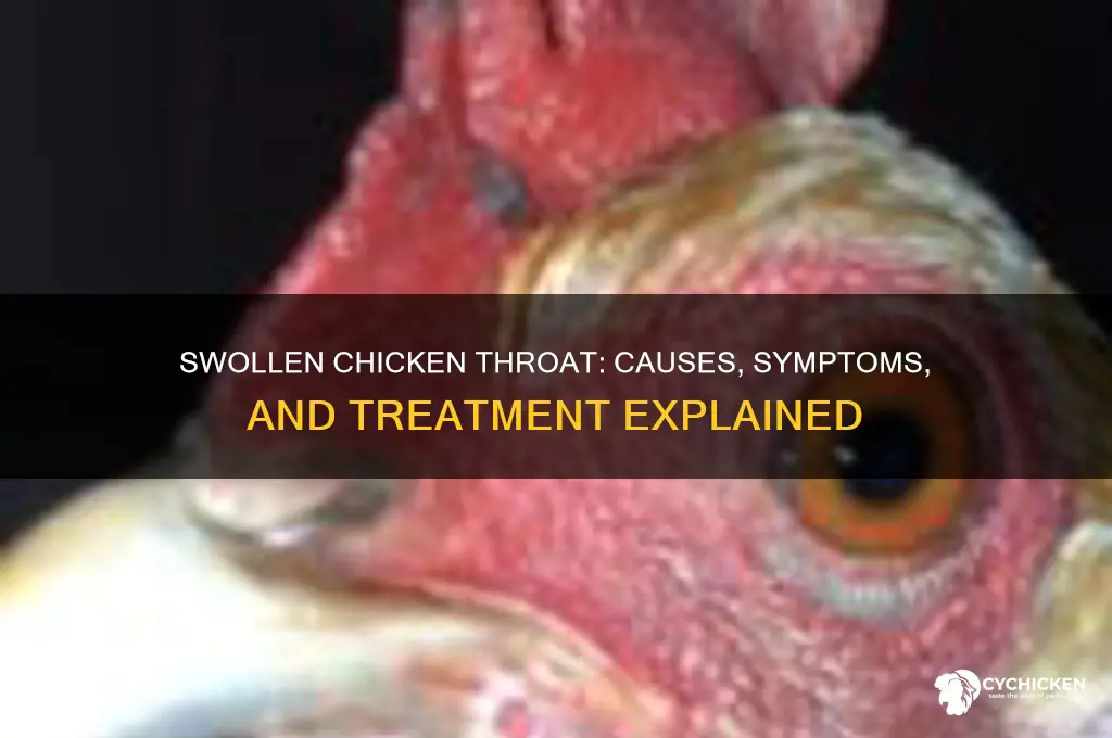 what happens when a chicken throat swells up