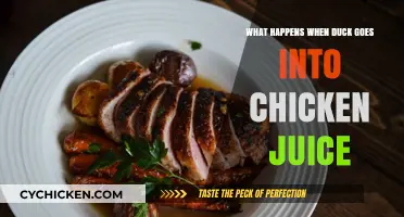 Duck Meets Chicken Juice: Surprising Culinary Fusion or Kitchen Disaster?