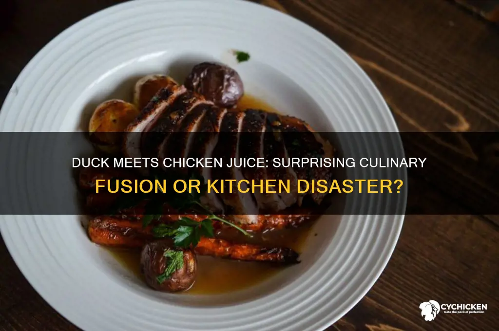 what happens when duck goes into chicken juice