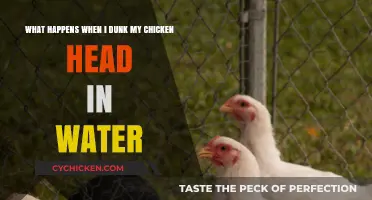Dunking Chickens: Drowning or Reviving?