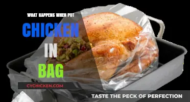 What Happens When You Put Chicken in a Bag: Explained
