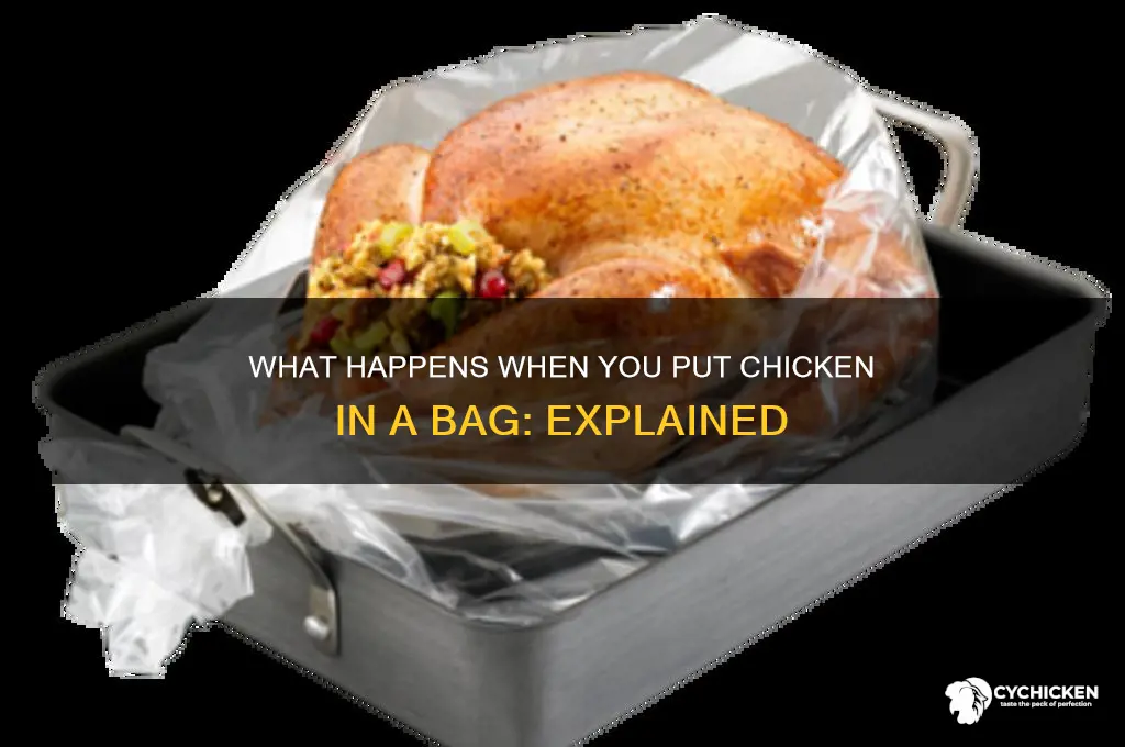 what happens when put chicken in bag