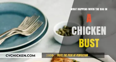 Chicken Bag Blunders: What Happens When It Bursts?