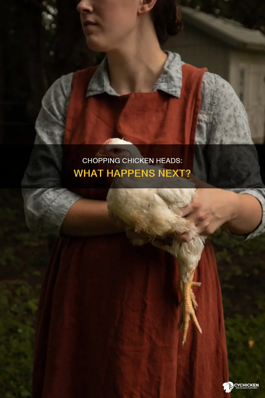 what happens when you chop a chicken