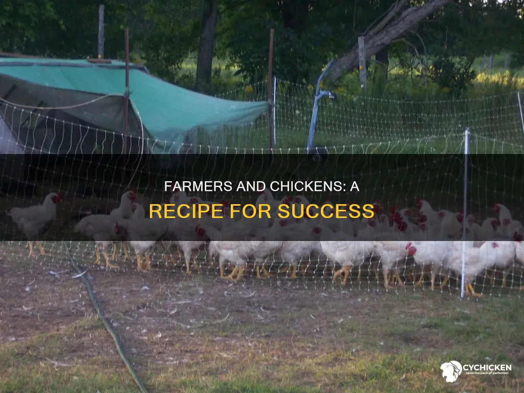 what happens when you combine a farmer and a chicken