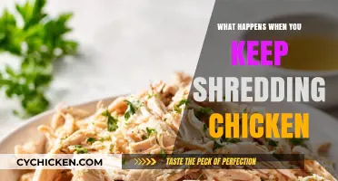 Over-Shredded Chicken: Texture, Taste, and Culinary Consequences Explained