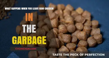 Leftover Chicken: A Recipe for Disaster in the Trash