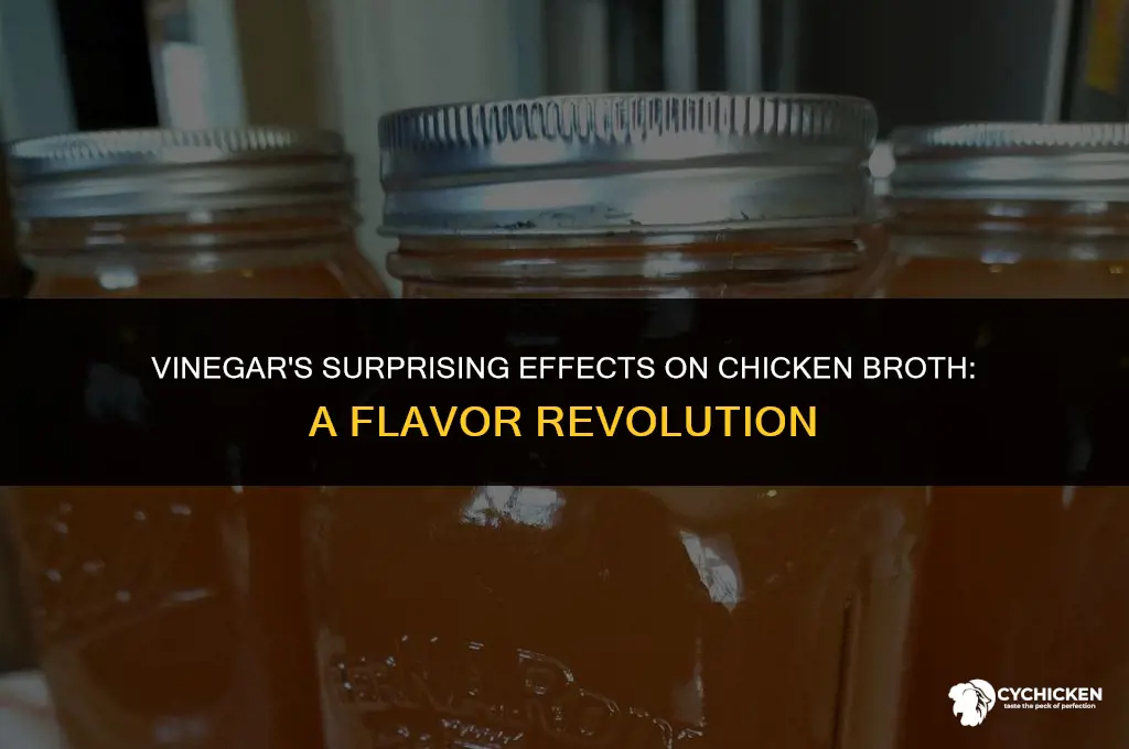 what happens when you put vinegar in chicken broth