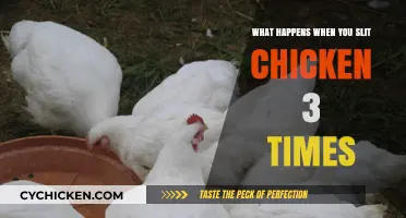 The Shocking Effects of Slitting a Chicken Throat Three Times
