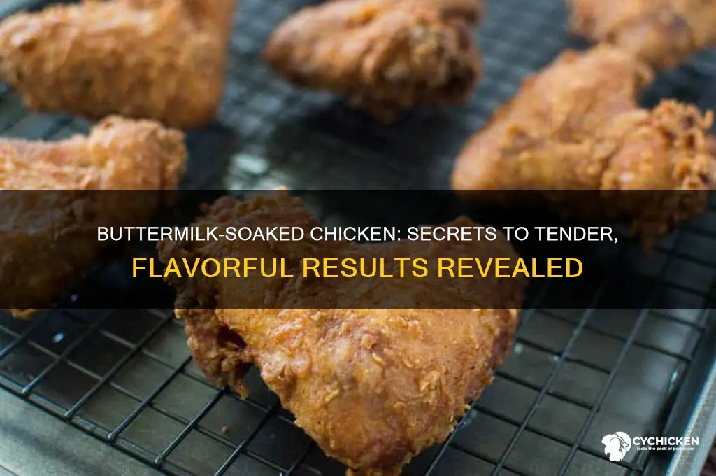 what happens when you soak chicken in buttermilk