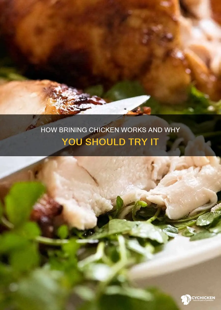 what happens when you soak chicken in salt water