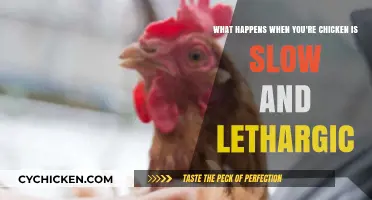 Why Is Your Chicken Slow and Tired?