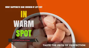 Chicken Left Out: What's the Danger Zone?