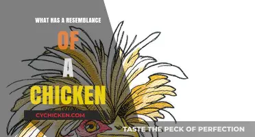 Uncanny Chicken Lookalikes: Surprising Objects Resembling Our Feathered Friends