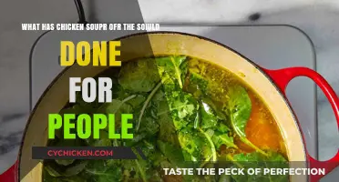 Chicken Soup for the Soul: A Comforting Companion