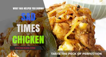 Comfort in Sadness: How Chicken Became My Unexpected Emotional Lifeline