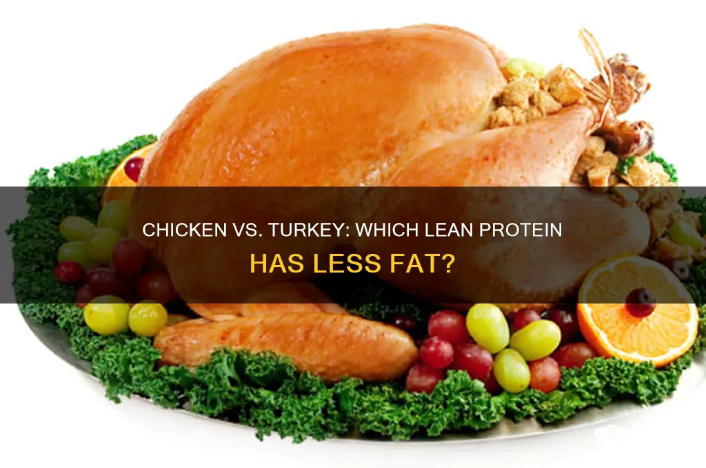 what has less fat chicken or turkey