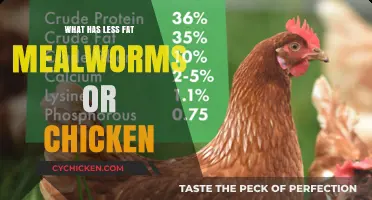 Mealworms vs. Chicken: Which Protein Source Has Less Fat?