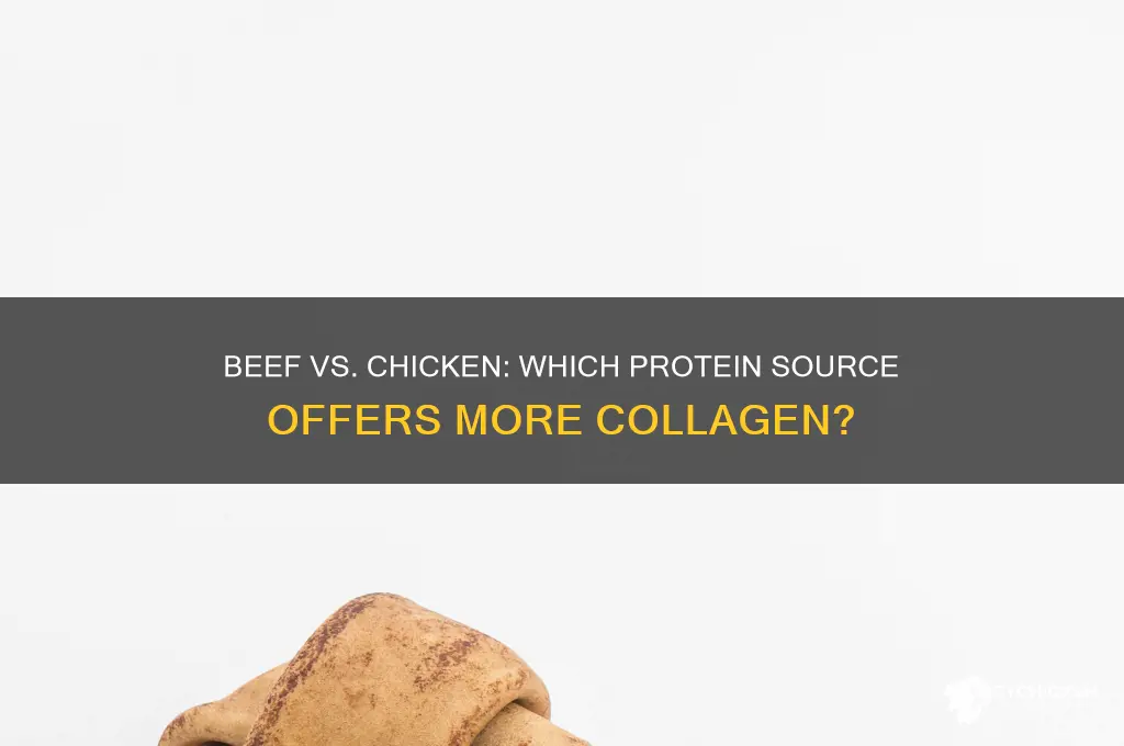 what has more collagen beef or chicken