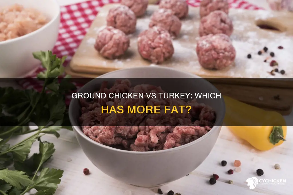what has more fat ground chicken or ground turkey