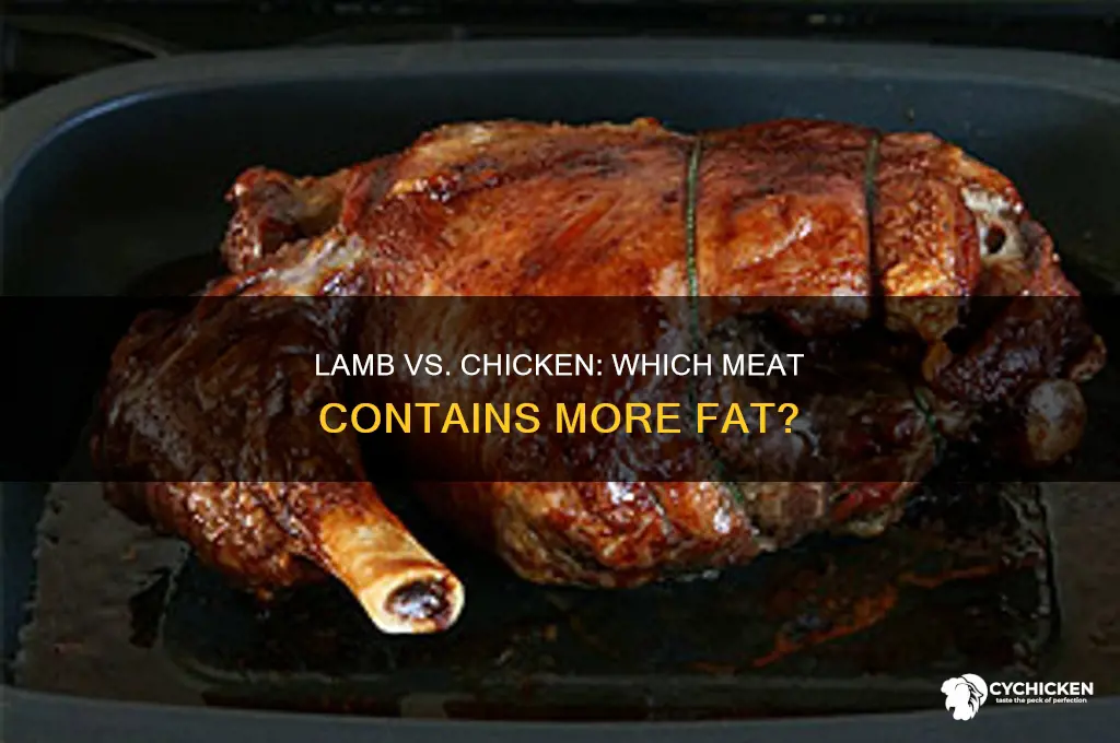 what has more fat lamb or chicken