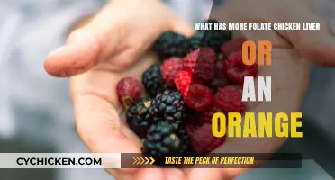 Folate Facts: Chicken Liver vs. Orange