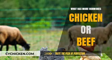 Hormone Levels Compared: Chicken vs. Beef - Which Has More?