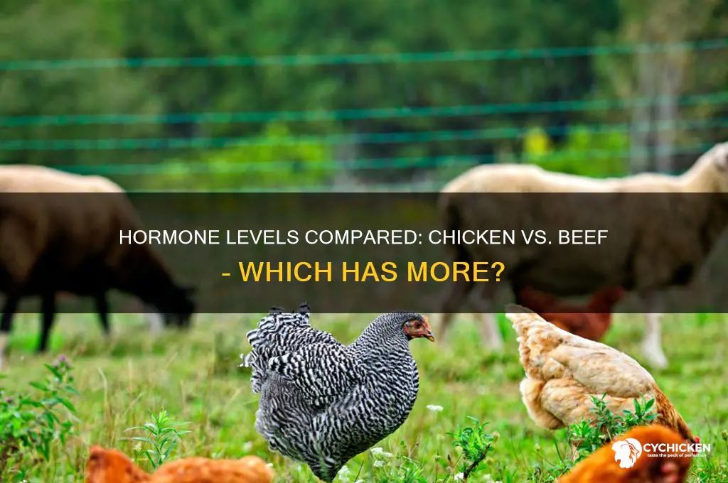 what has more hormones chicken or beef