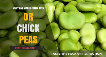 Fava vs. Chickpeas: Which Legume Packs More Protein Power?