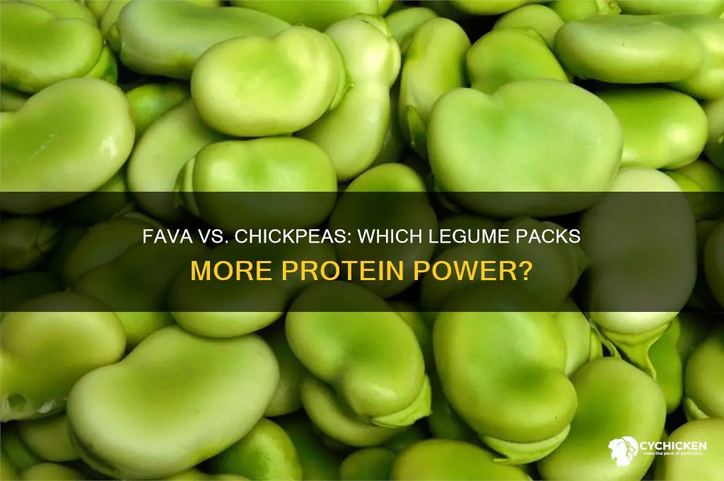 what has more peotien fava or chick peas