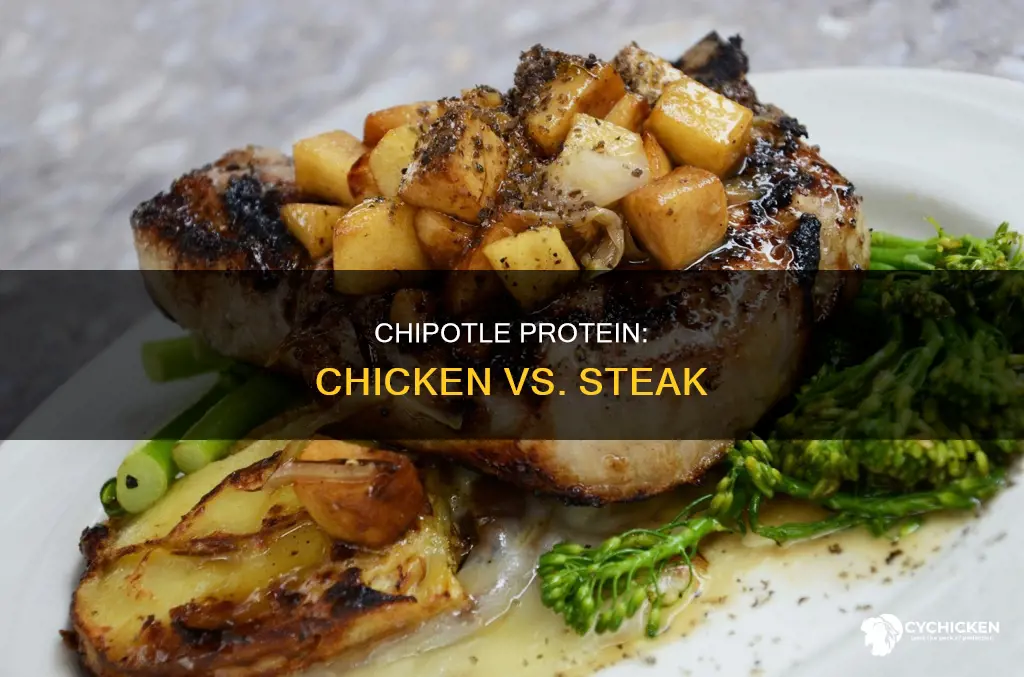 what has more protein at chipotle chicken or steak