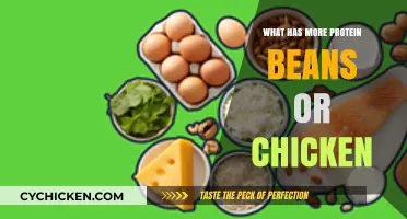 Beans vs. Chicken: Which Protein Source Packs More Punch?