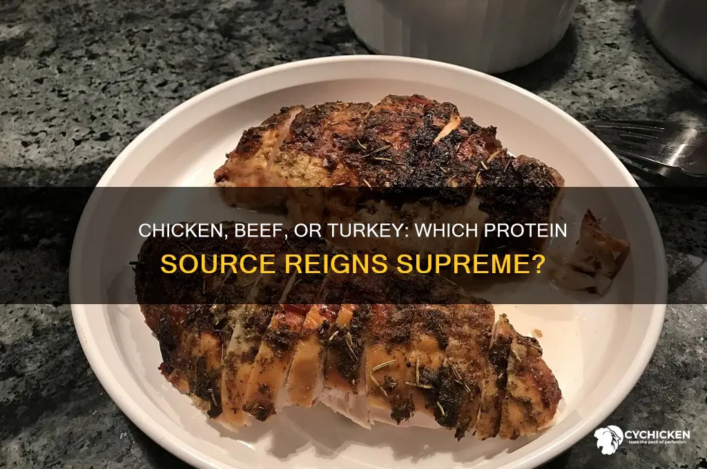 what has more protein chicken beef or turkey