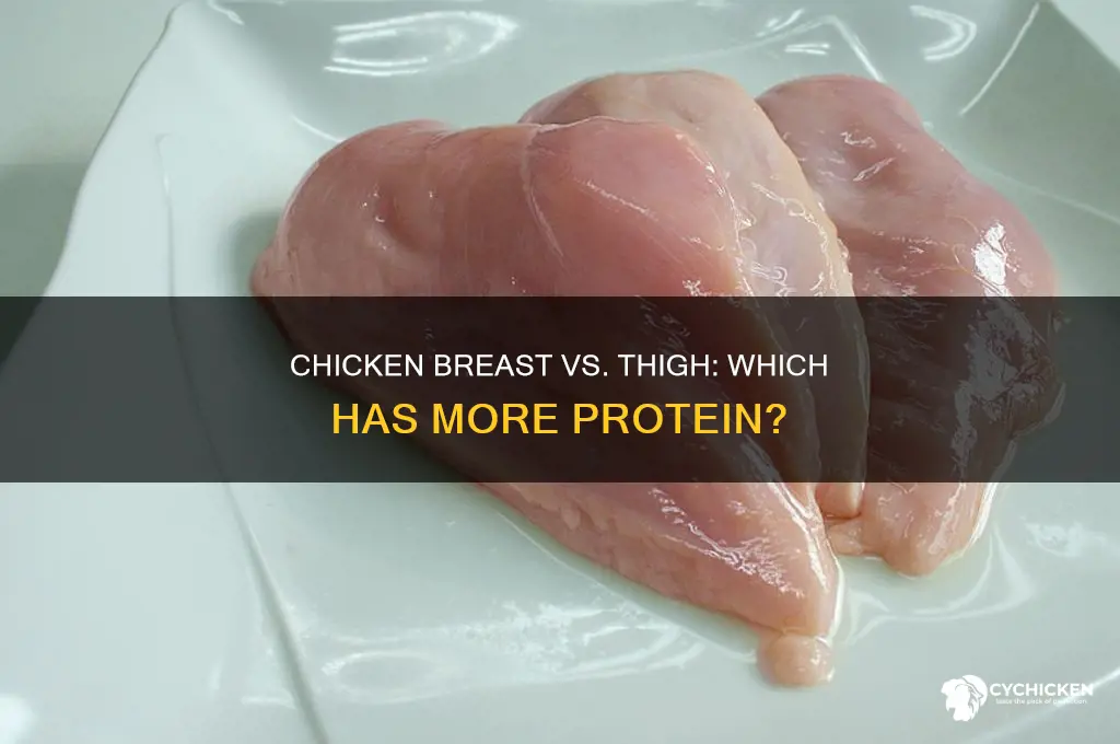 what has more protein chicken breast or thigh