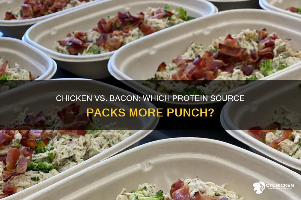 what has more protein chicken or bacon