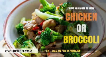 Chicken vs. Broccoli: Which Packs More Protein for Your Diet?