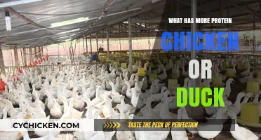Chicken vs. Duck: Which Poultry Packs More Protein Power?