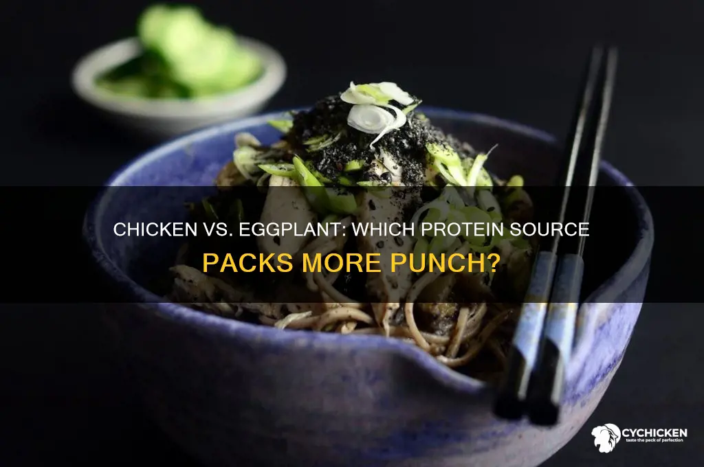what has more protein chicken or eggplant