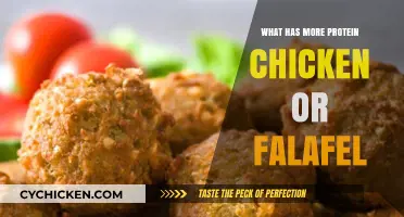 Chicken vs. Falafel: Which Protein Source Packs More Punch?